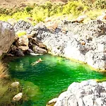 Wadi Al Arbeieen Resort